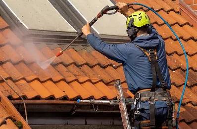 Démoussage et hydrofuge de toiture à Auge